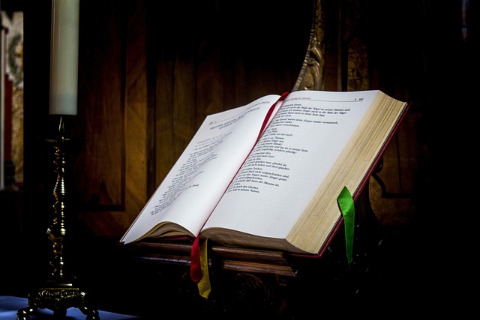 Psalm 119,50